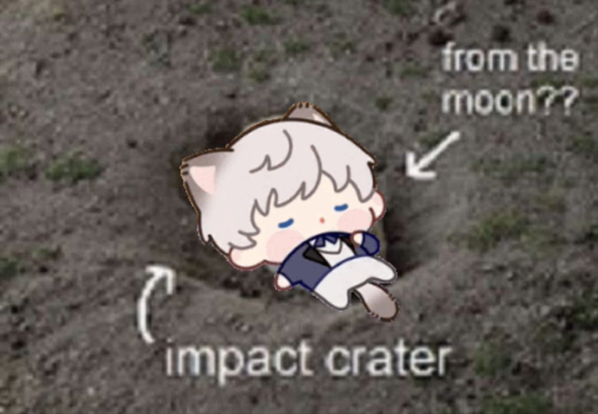 Moquito 💫 tweet media