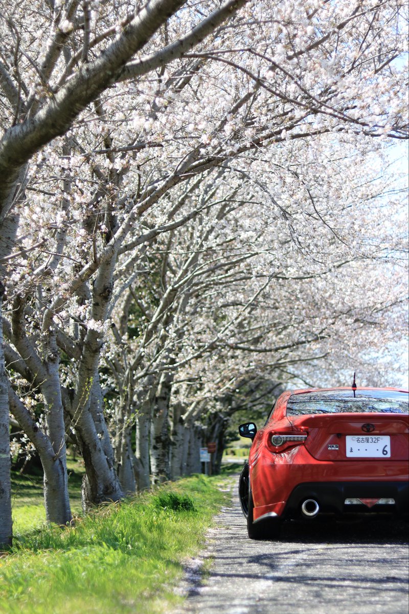 ｸﾏｯﾋﾟ tweet media