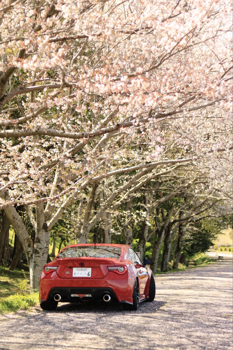 ｸﾏｯﾋﾟ tweet media