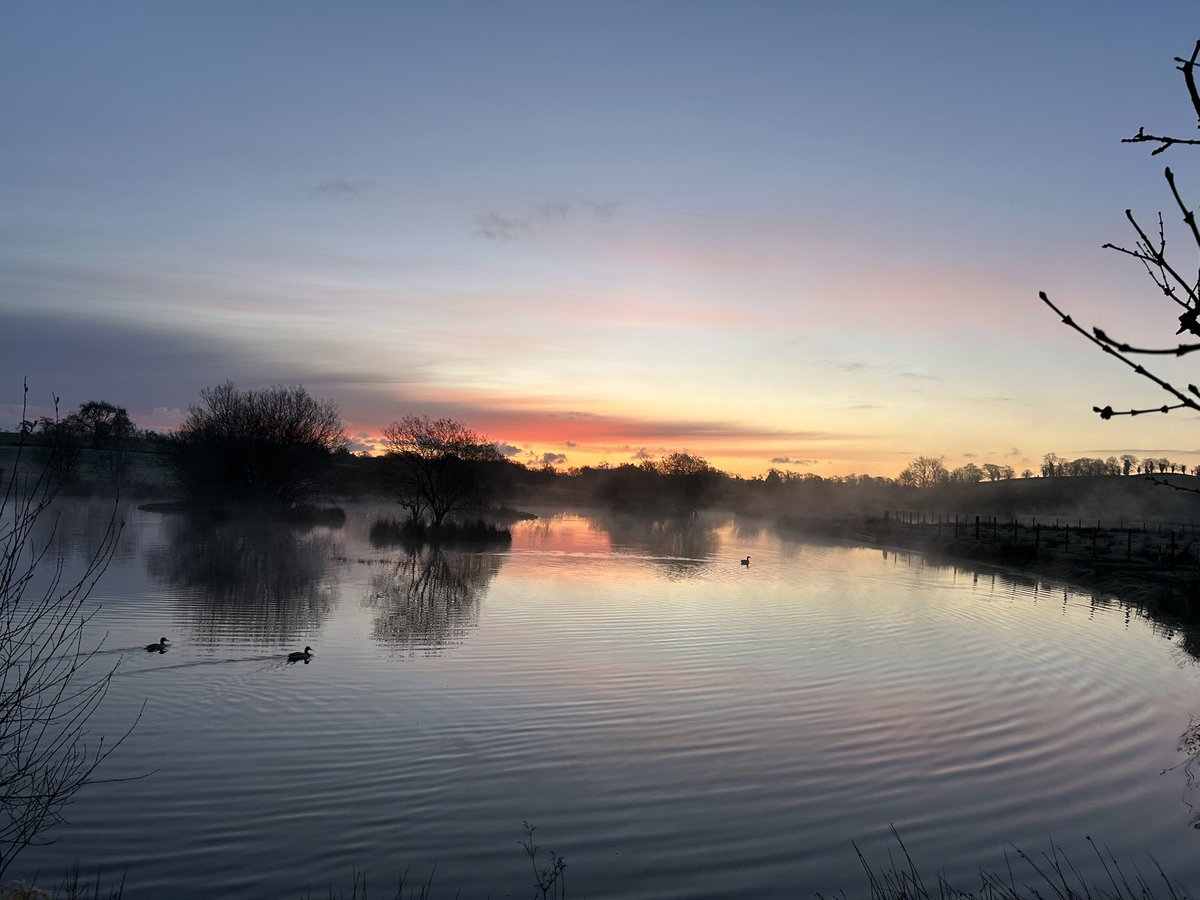 Angel Doves tweet media