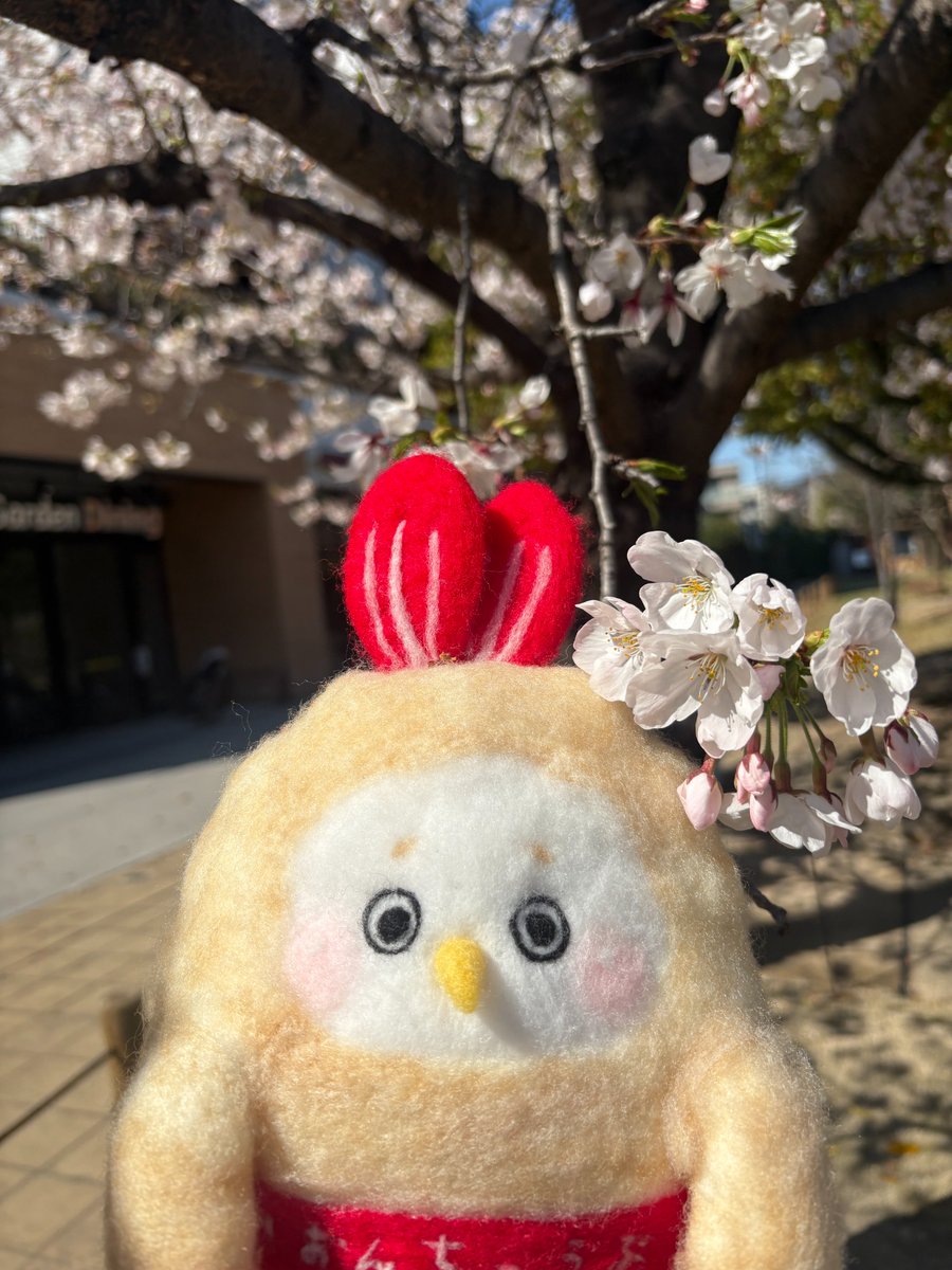 【公式】イオン中部 このてん情報局 tweet media