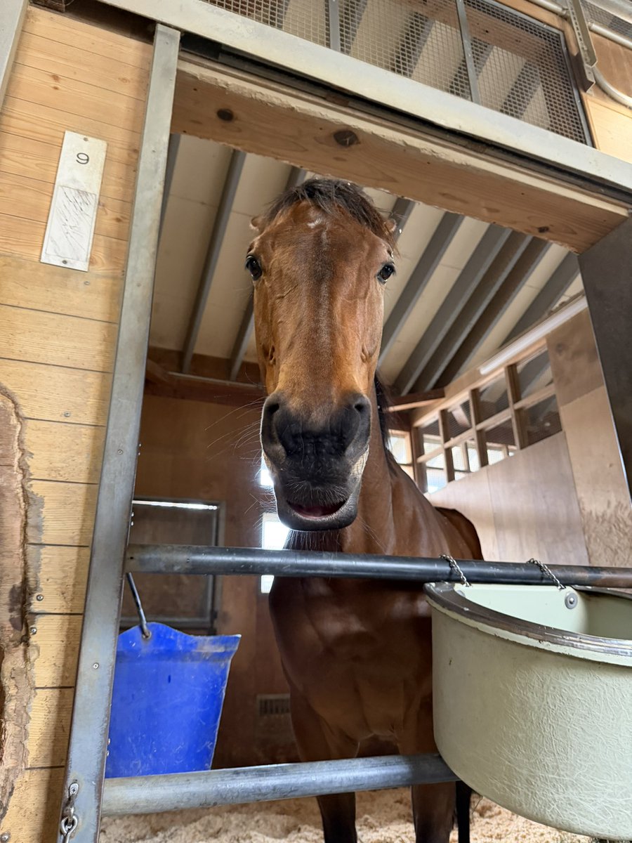 今村聖奈 tweet media