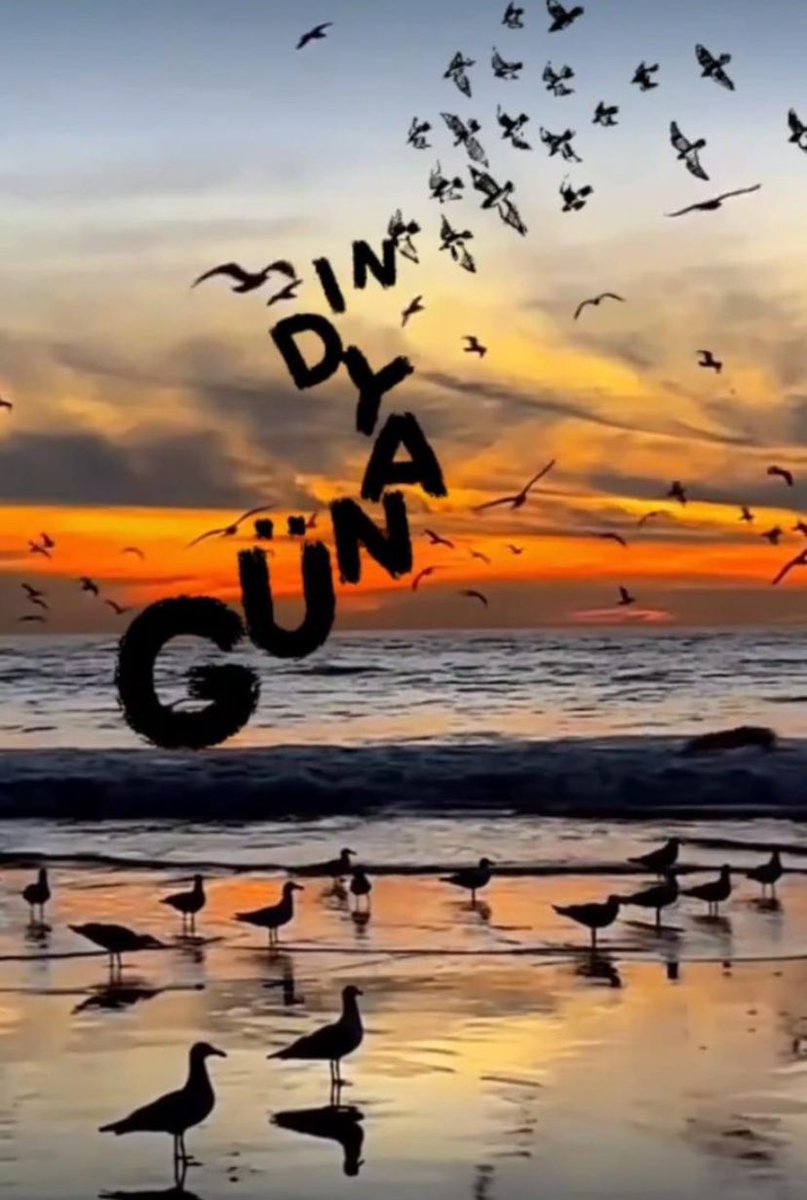 Hüseyin Özgüroğlu tweet media