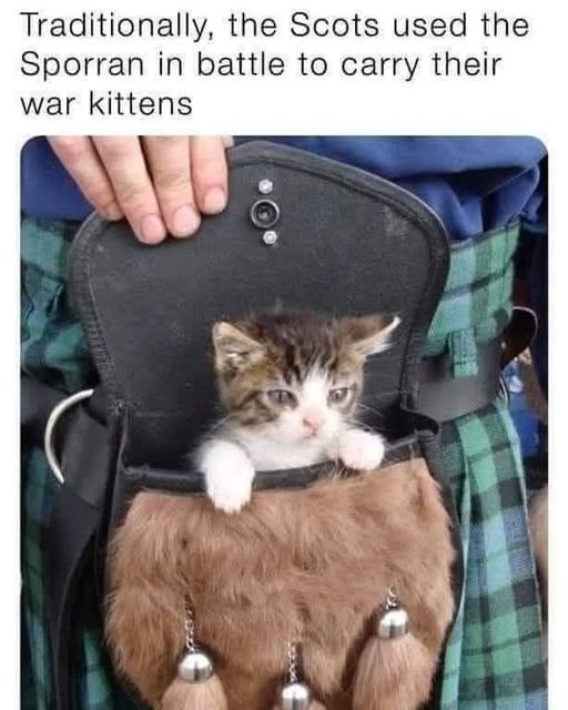 freddie barss tweet media