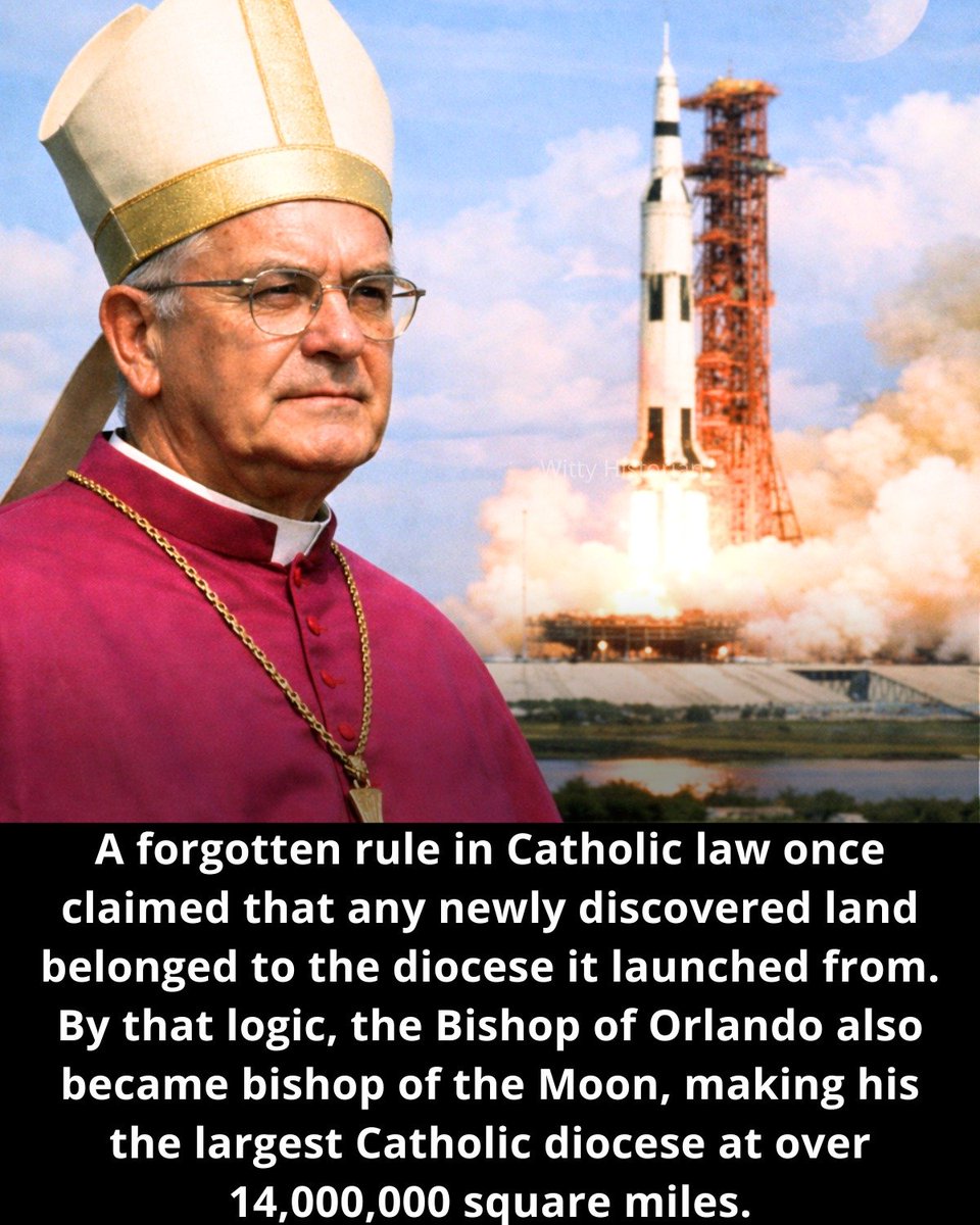 Templarpilled tweet media