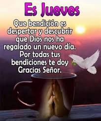 Profesora2.0😍🇨🇱🎼🌈👻 tweet media