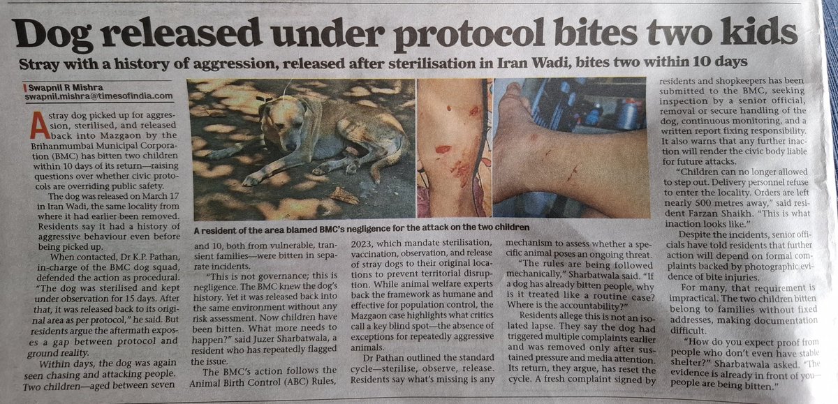 XStrayDogMumbai's tweet image. Hon. #SupremeCourt has already ordered #aggressive #straydogs cannot be released back. Which protocol is Dr. Pathan of @mybmc is following? If it weren't for sustained coverage by @mumbaimirror, this mangy #hellhound wouldn't have even been picked up! @MahaChiefSec plz note!