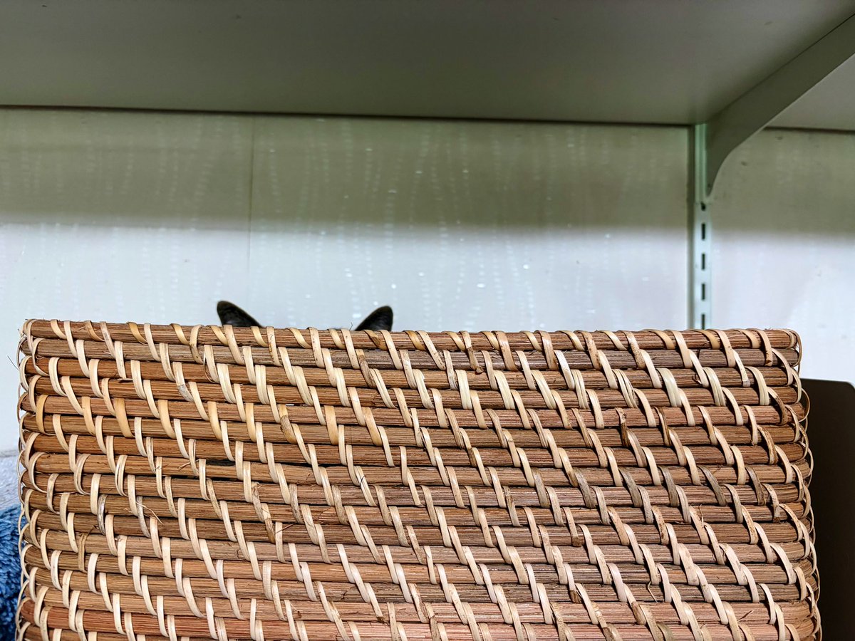 もみこ/文フリ東京42た35 tweet media