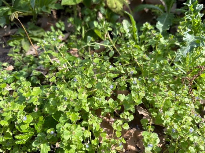 Rini Biemans tweet media