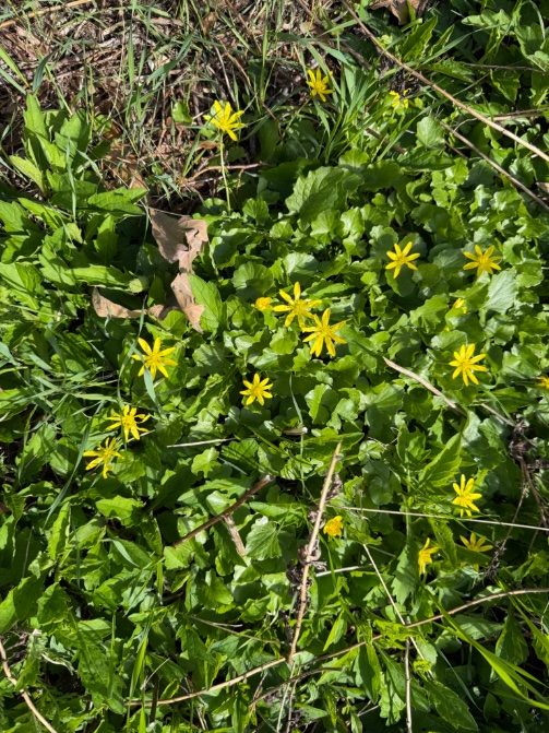 Rini Biemans tweet media