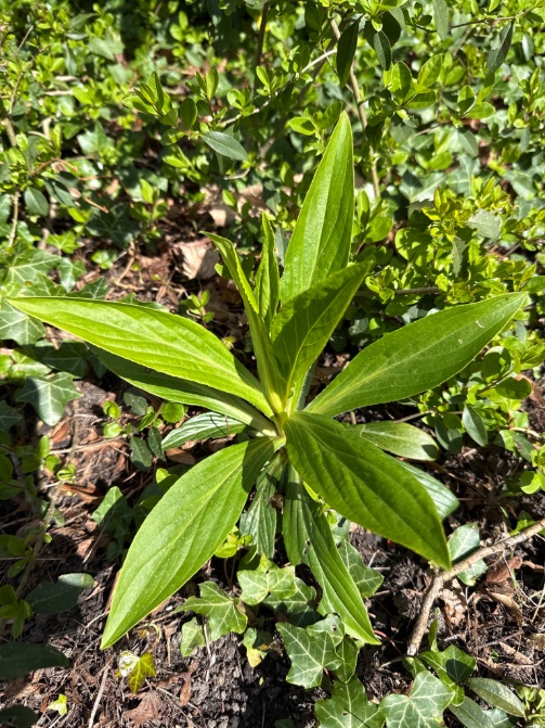 Rini Biemans tweet media