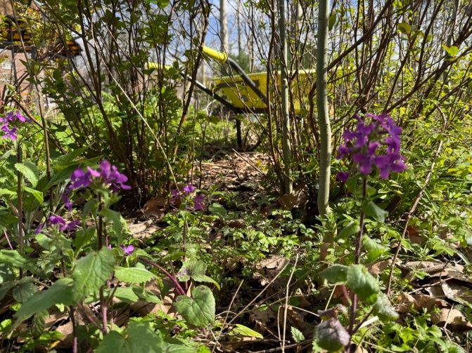 Rini Biemans tweet media