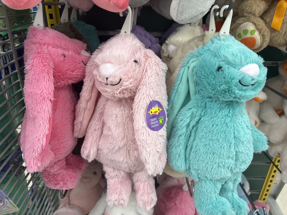 lolo🐻‍❄️ tweet media