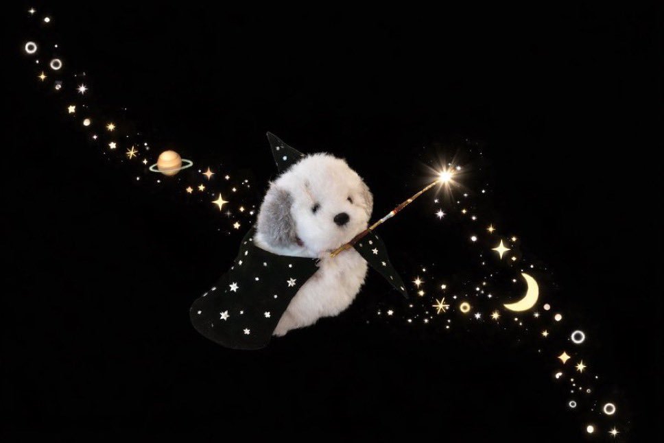 세라💙시즌2🌱🐤 tweet media