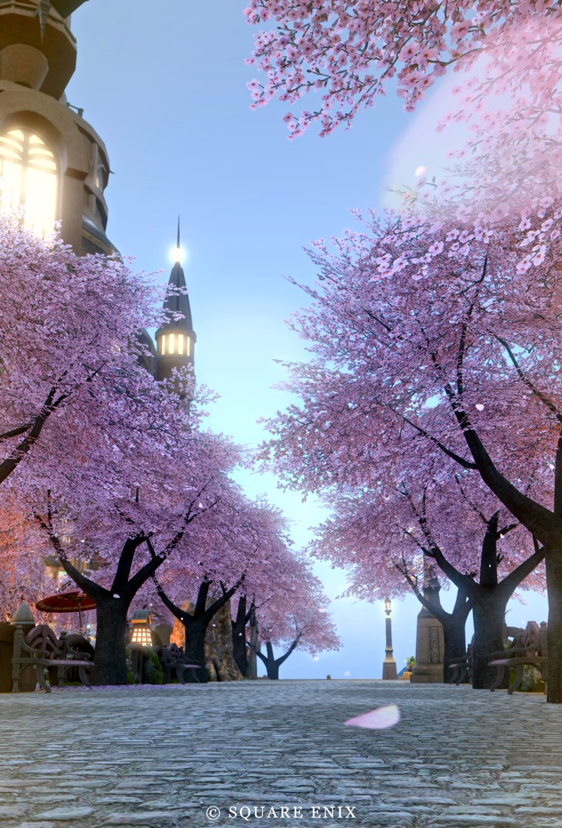 popo🌲ゼロムス並木道 tweet media