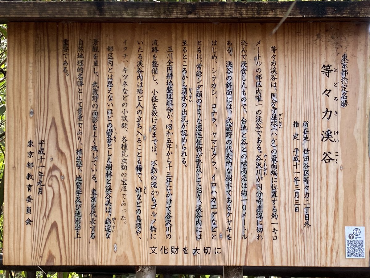 猫の爪 tweet media