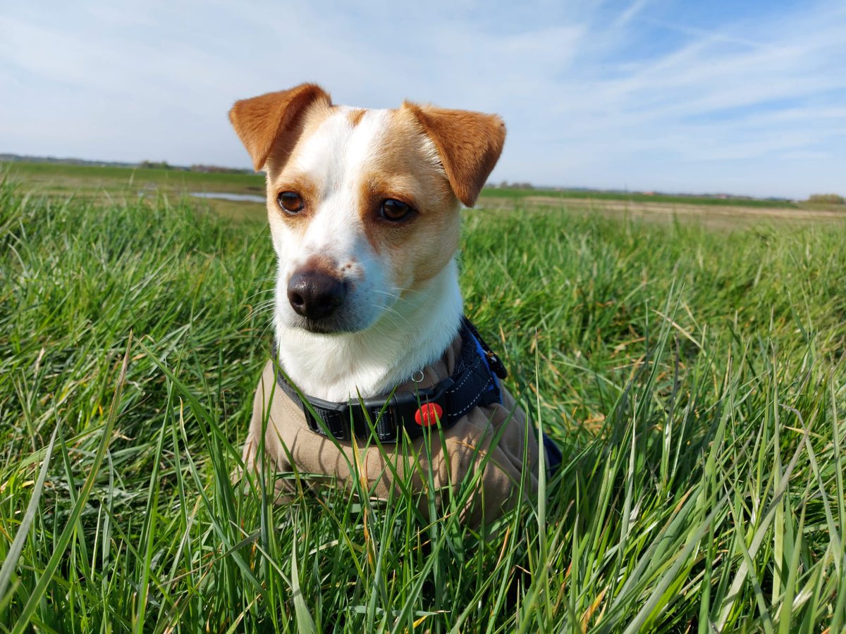 Wouter 📚 tweet media