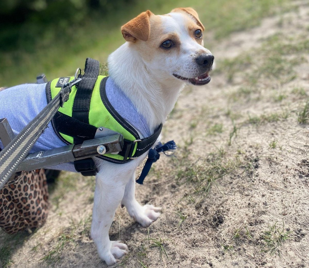 Wouter 📚 tweet media