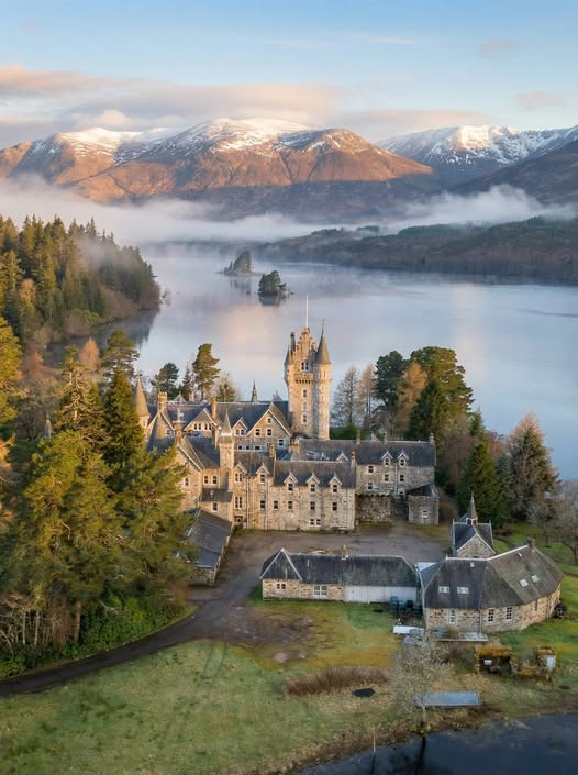 freddie barss tweet media