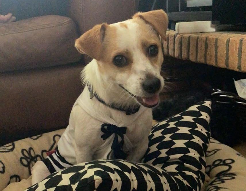 Wouter 📚 tweet media