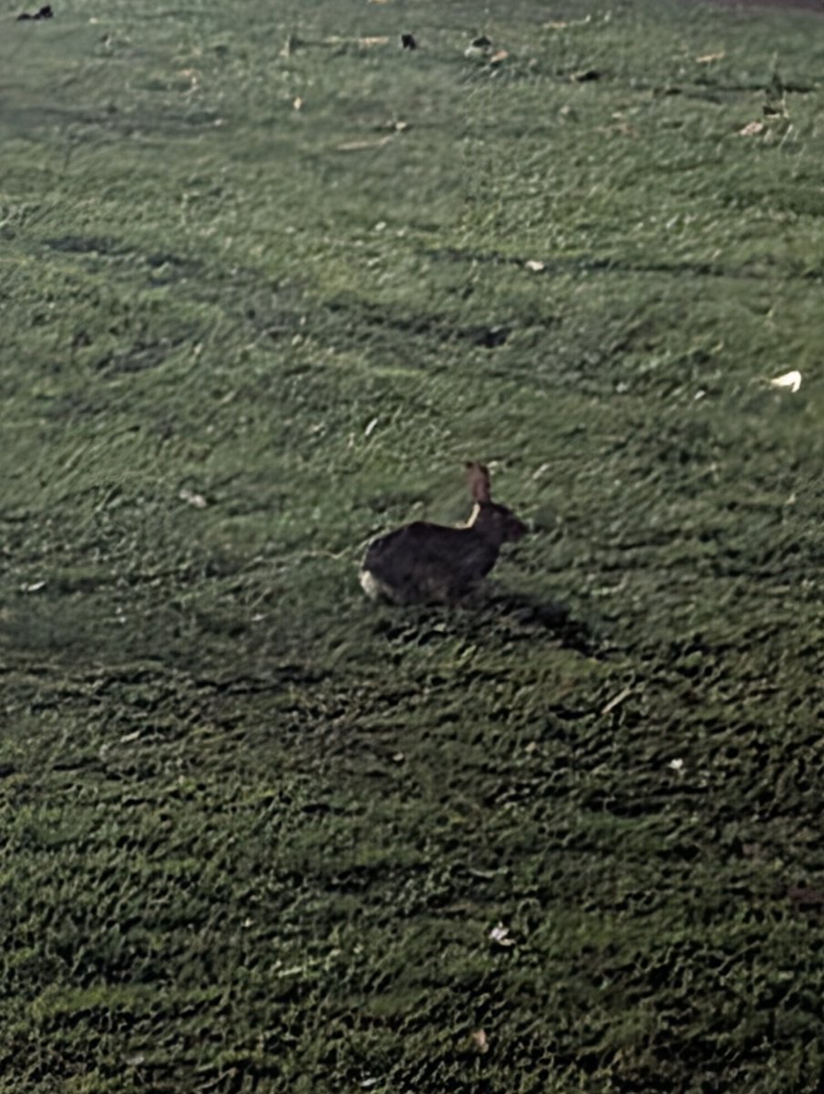 eeriedays tweet media