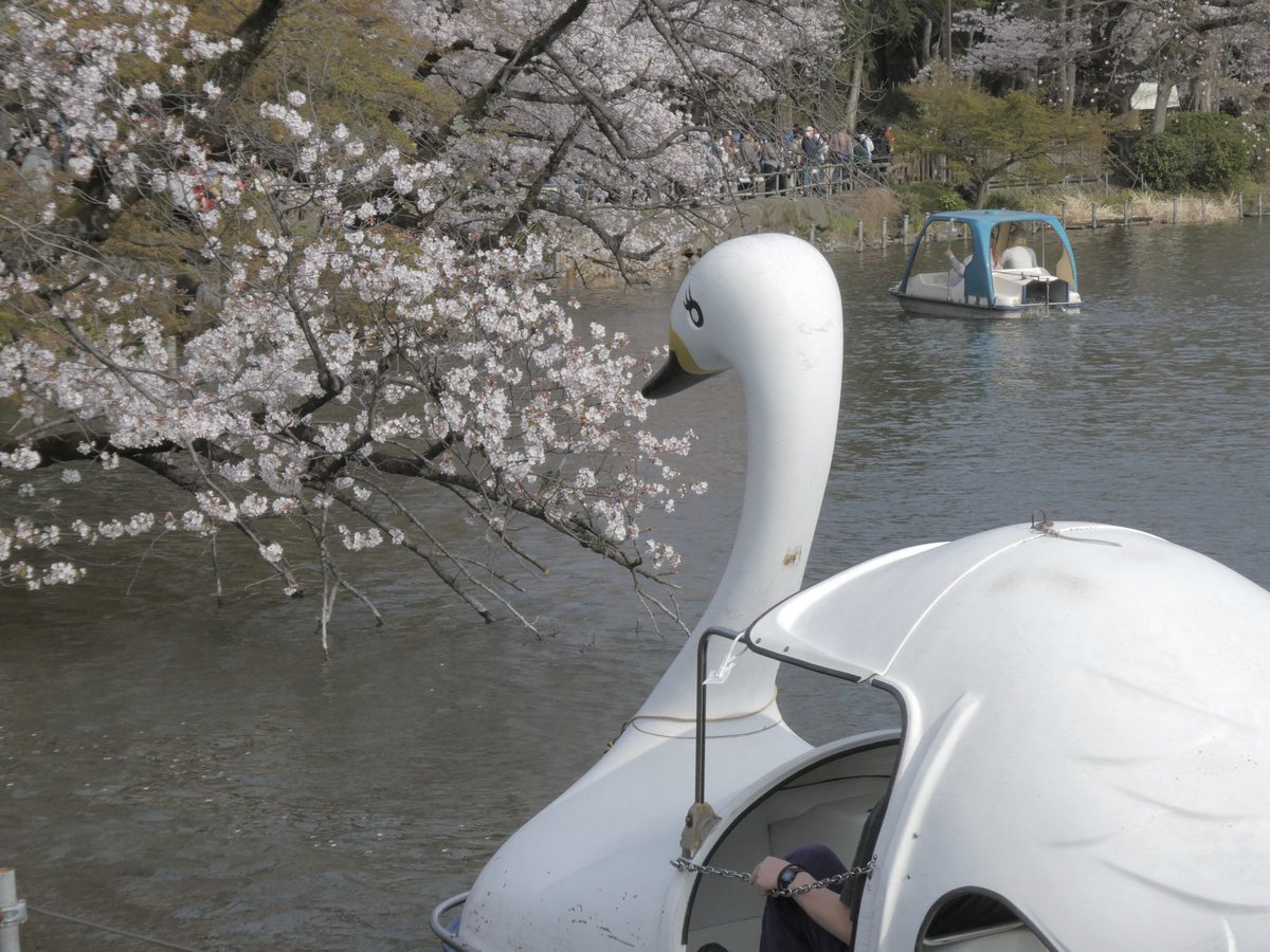 sweets (@sweetssz_) on Twitter photo 