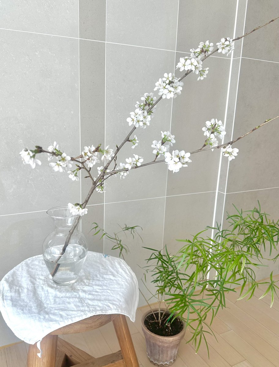 축낸다 tweet media