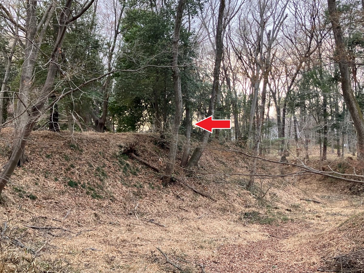 埼玉県立嵐山史跡の博物館 tweet media