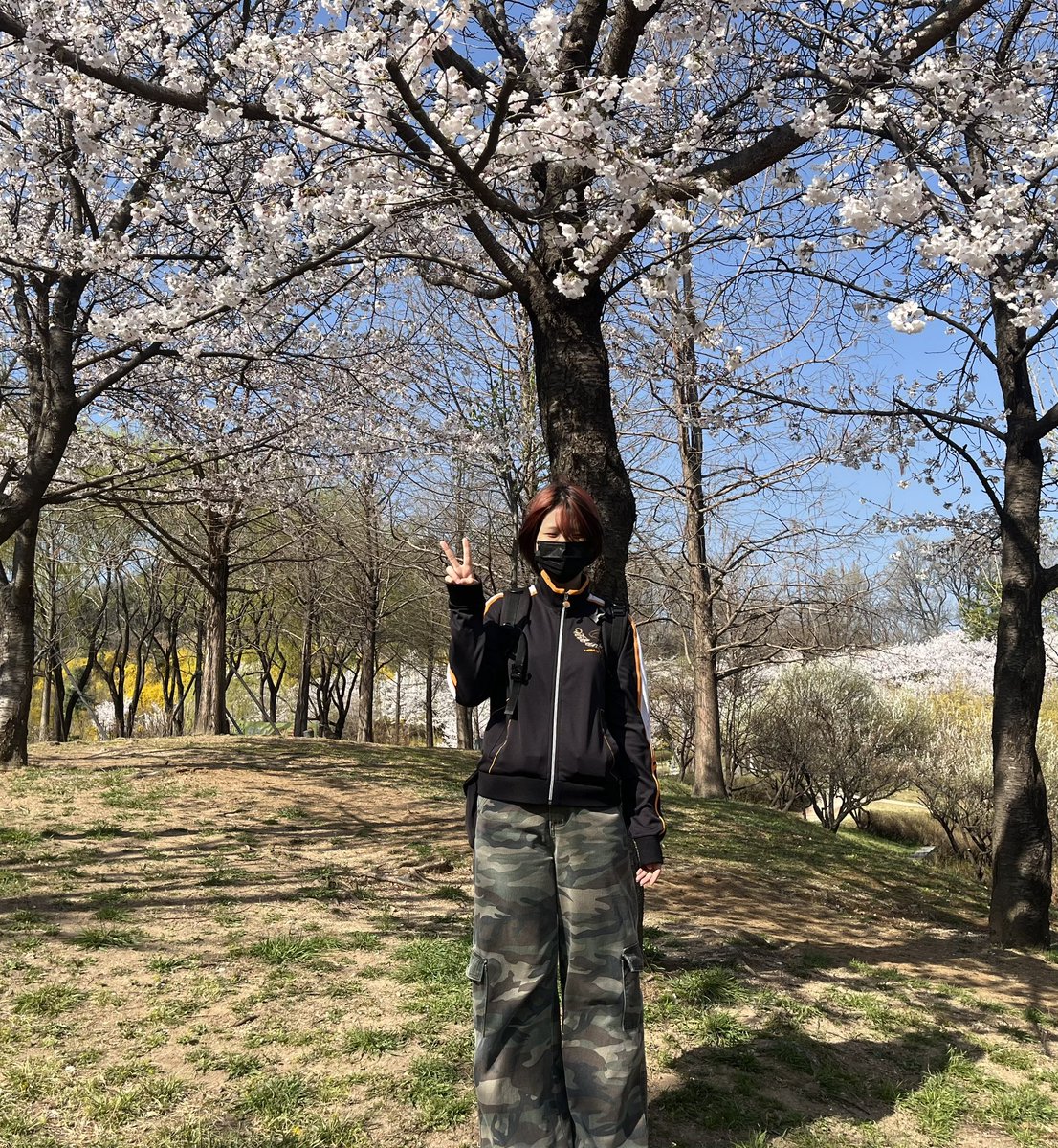 あやか tweet media