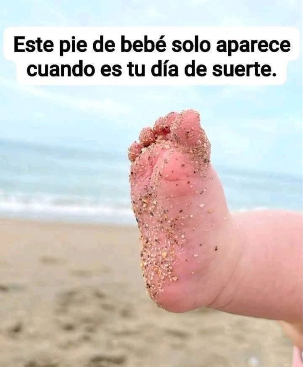 SolidKroket (@solidkroket) on Twitter photo 