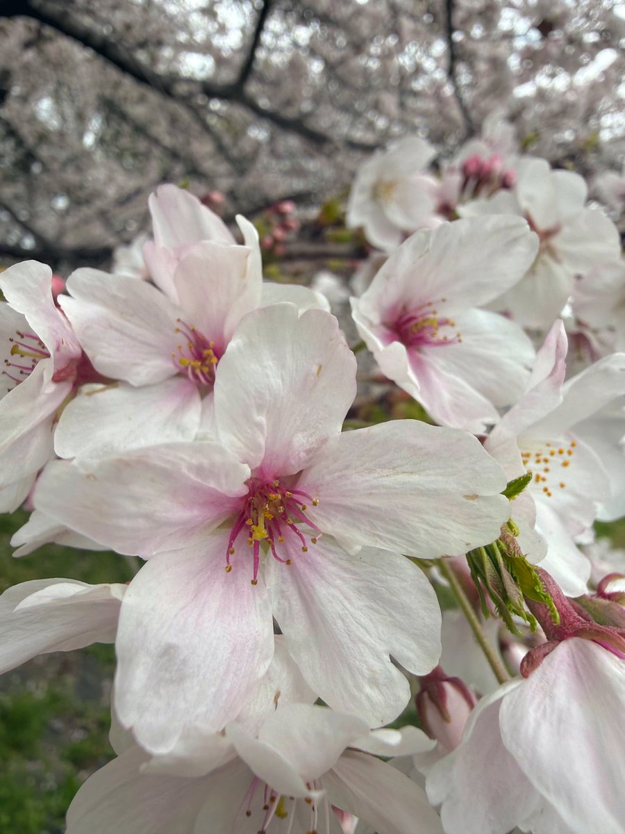 ❄️のめぴは破壊神🍺 tweet media