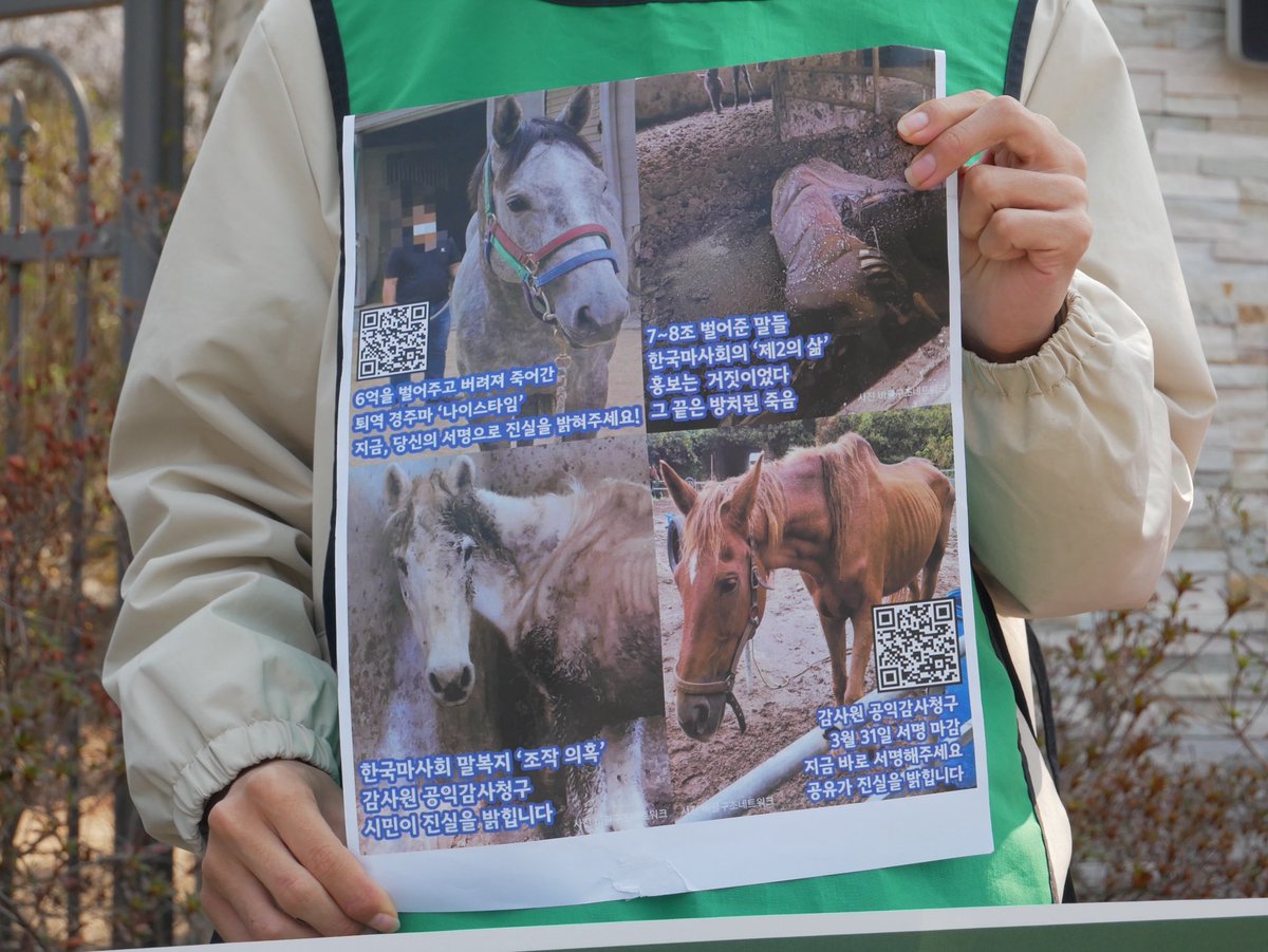 녹색당 tweet media