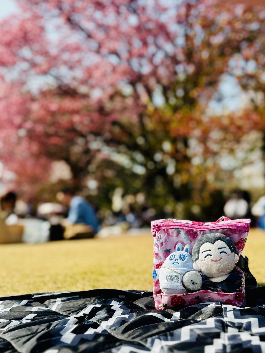 Miiiiie☺︎︎。(みー☺︎︎。) tweet media