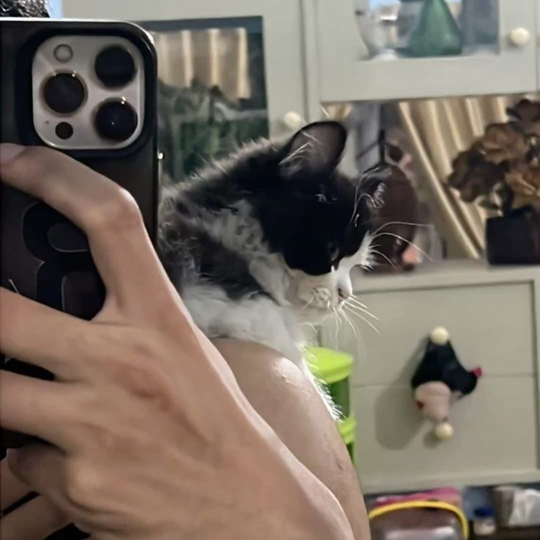 Base umum bisa follow @cornerfess tweet media