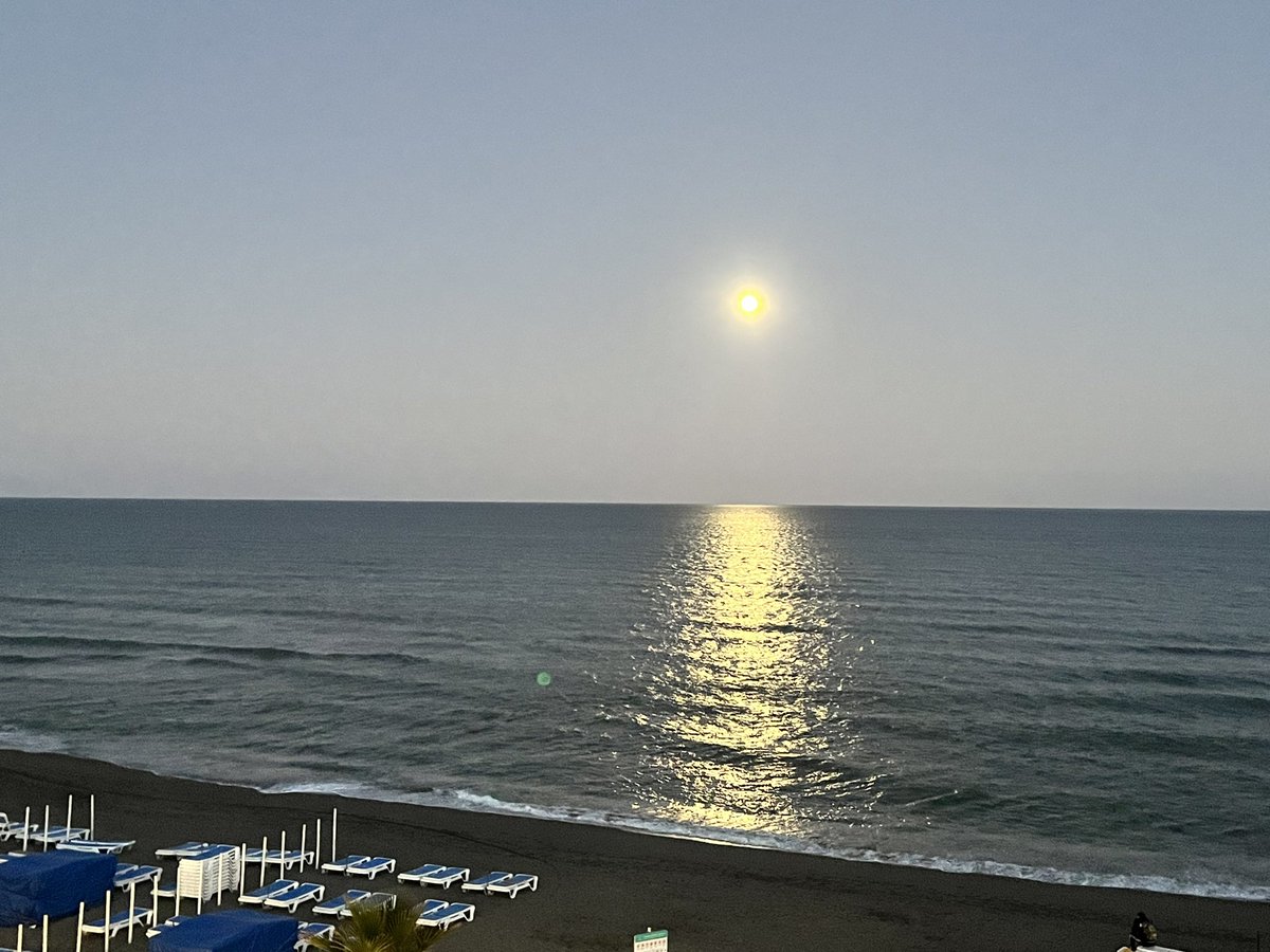 Judith Queen of the Rose Arbor tweet media