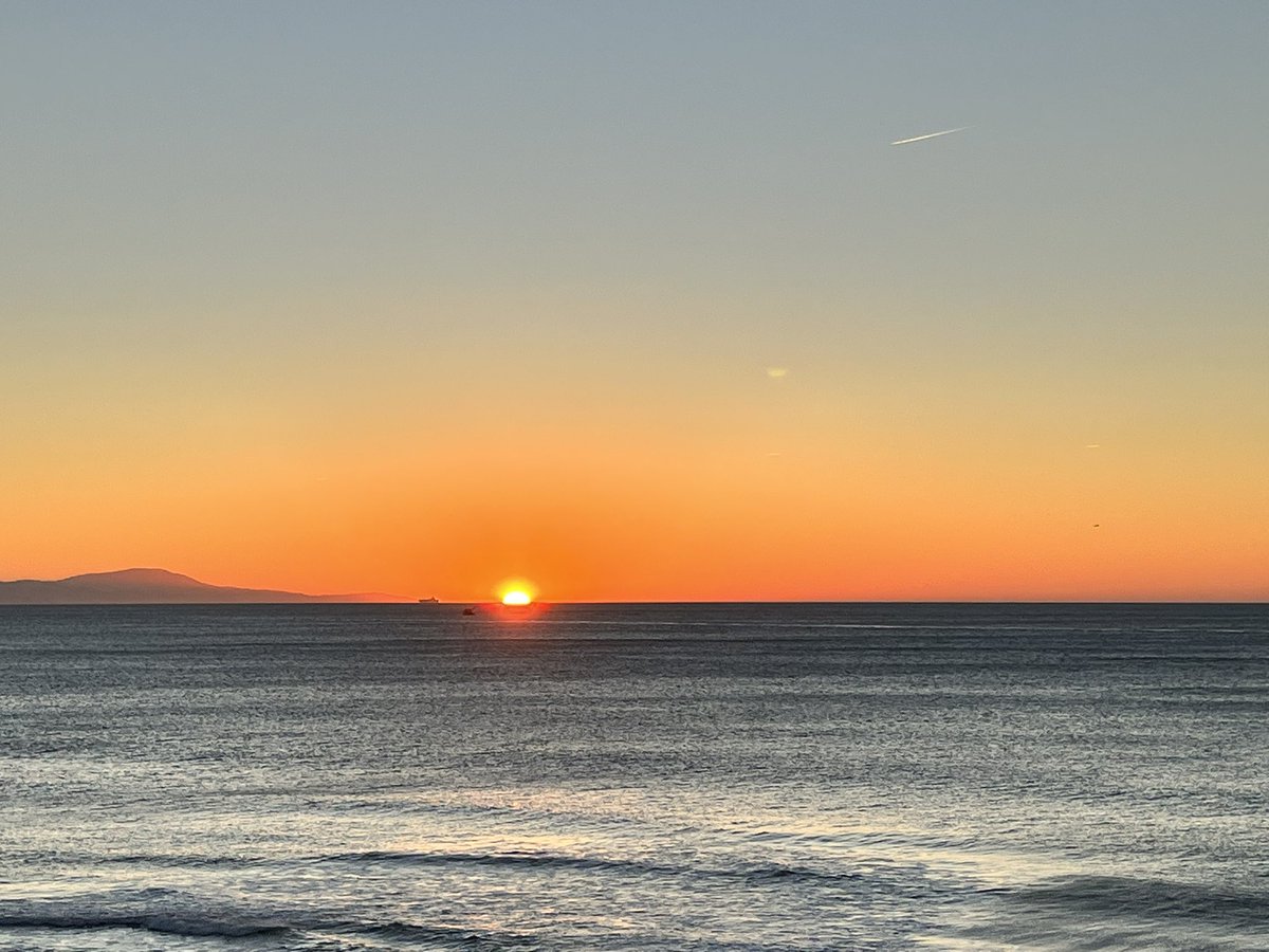 Judith Queen of the Rose Arbor tweet media