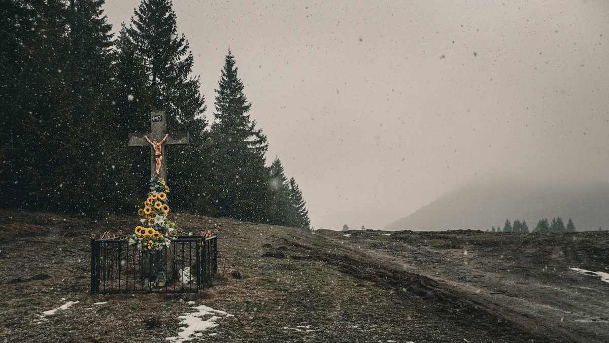 Leaving 🎗️🇮🇱🇺🇦🇪🇺🇨🇦🇬🇱 tweet media