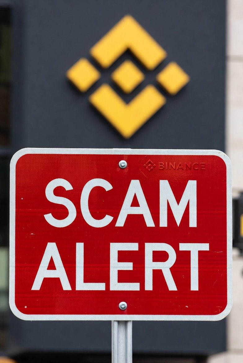 LiaSue ☄️ tweet media