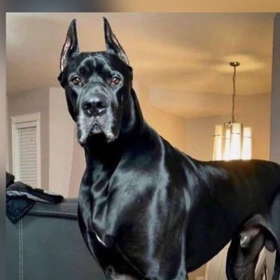 Alcalá Norte 🪐 tweet media