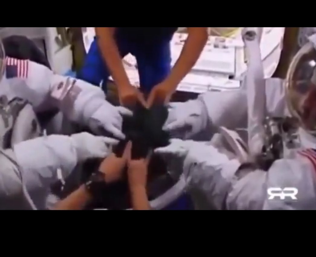 Jonah's gourd tweet media