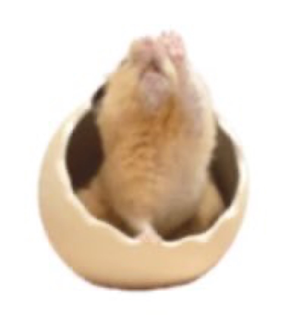 絢🌱💮👌 tweet media