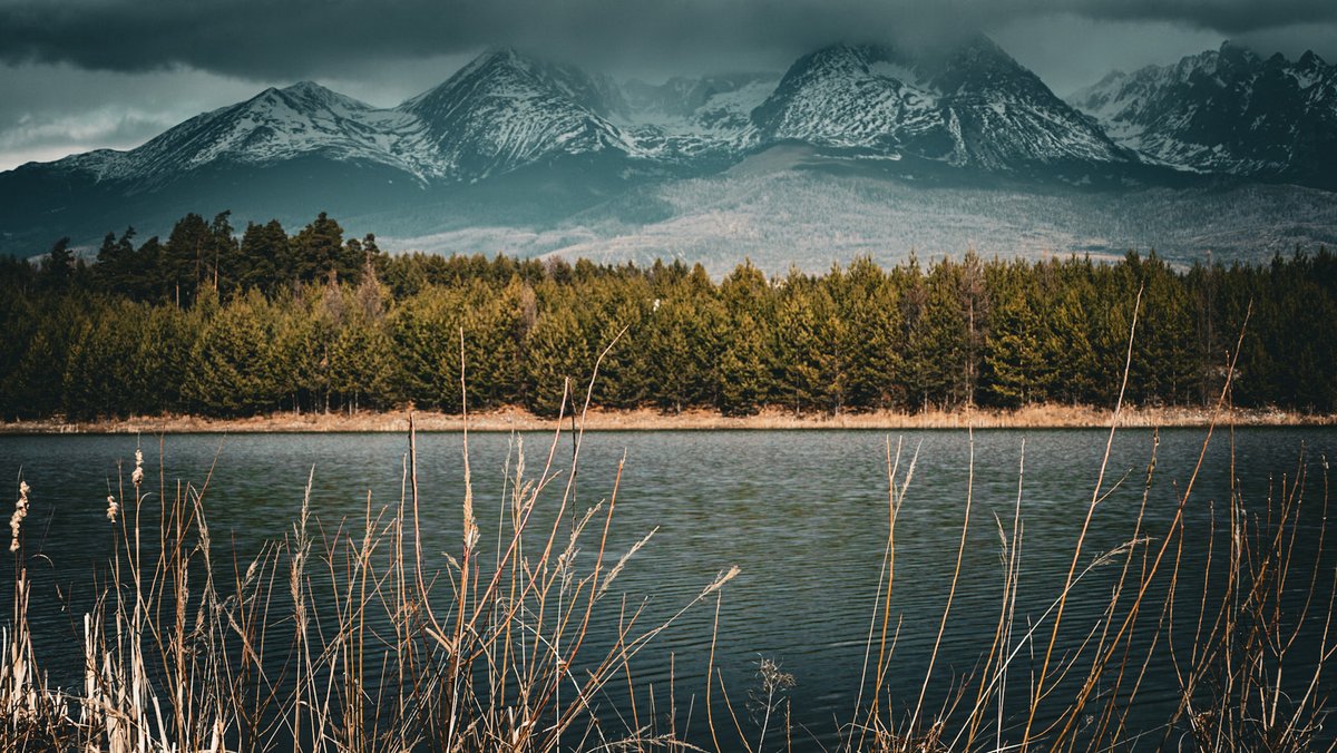 Leaving 🎗️🇮🇱🇺🇦🇪🇺🇨🇦🇬🇱 tweet media