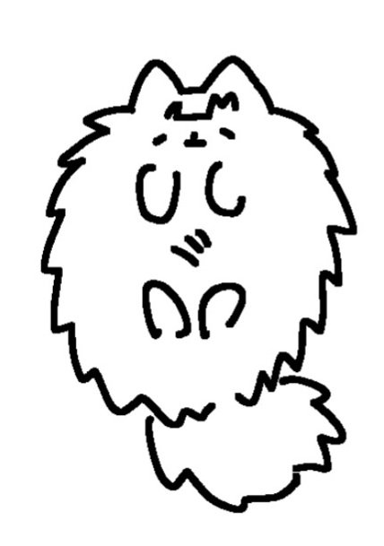 토마토 tweet media