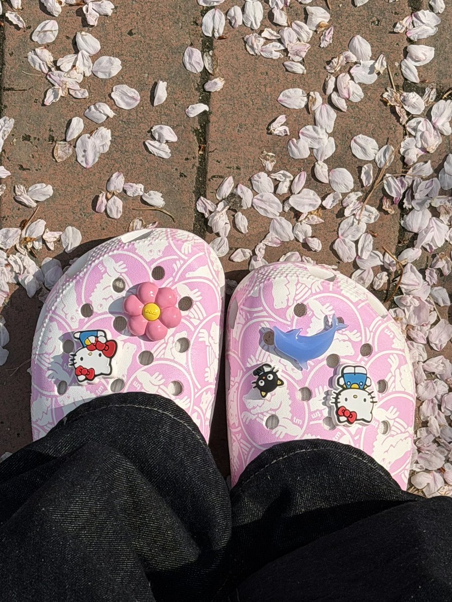 희자두 tweet media