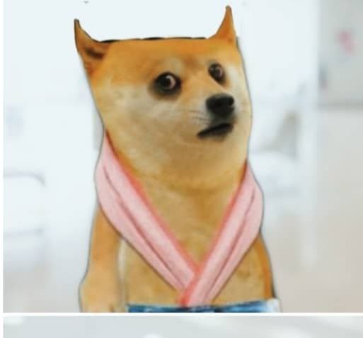 Wizard 🐉 tweet media