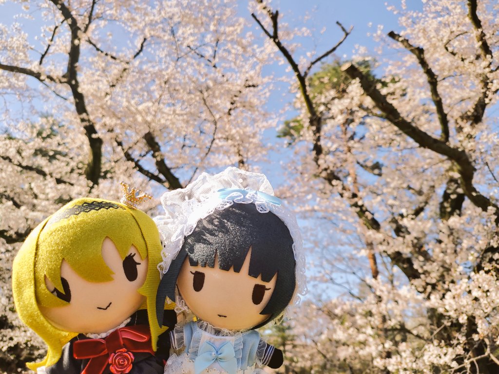 マッタマッタ/・ワ・🌸 tweet media