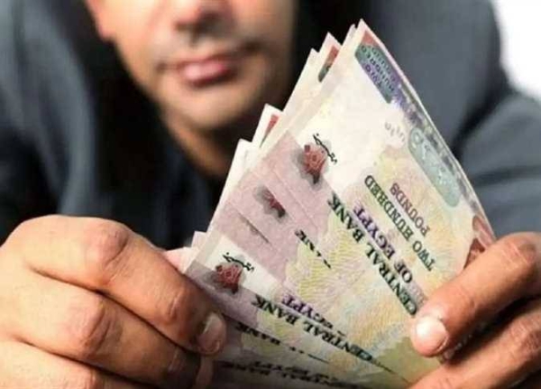 Hamed Ezzeldin tweet media