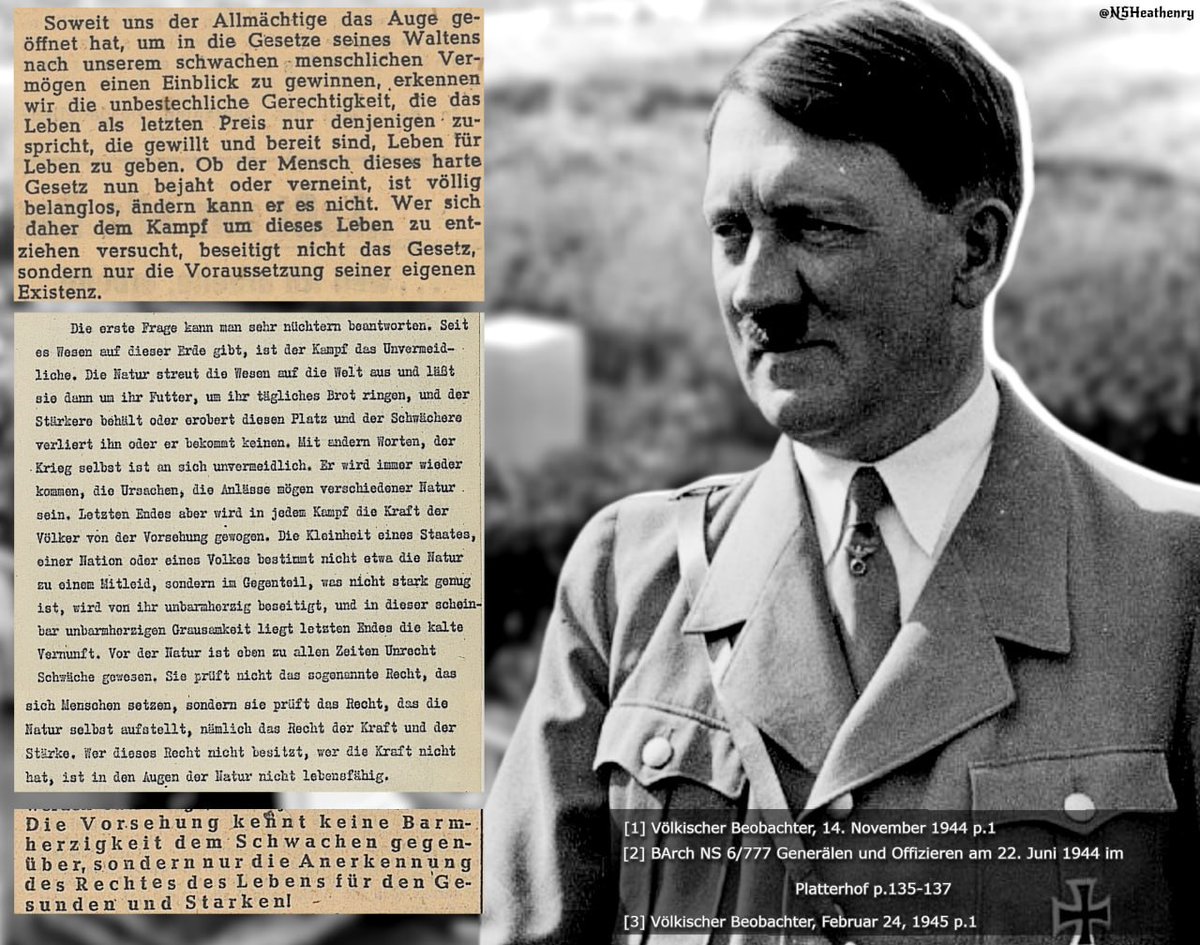 Völkisch Spirit ᚾ tweet media