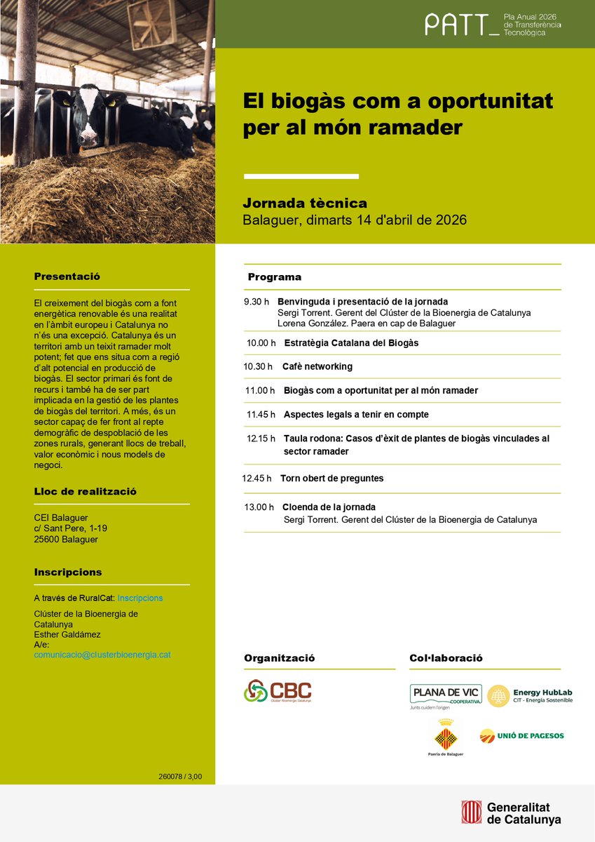 Clúster Bioenergia Cat tweet media