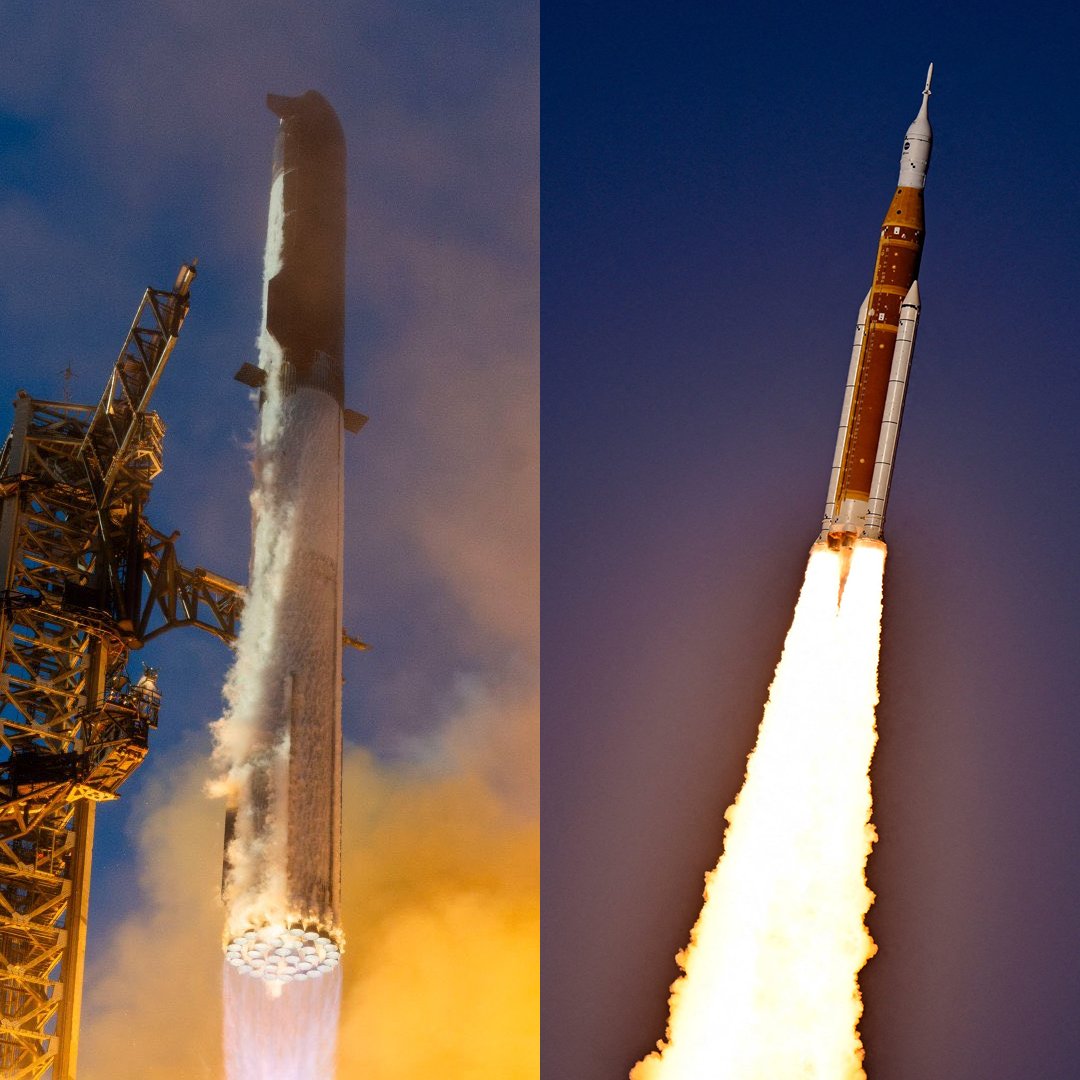 DogeDesigner tweet media